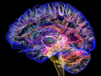 最新操b网站大脑植入物有助于严重头部损伤恢复